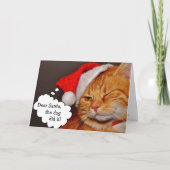 Carte de Noël drôle et mignonne de chat pour les f (Devant)