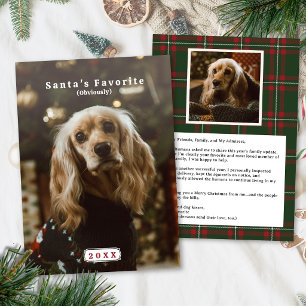 Carte de Noël drôle pour animaux de compagnie avec