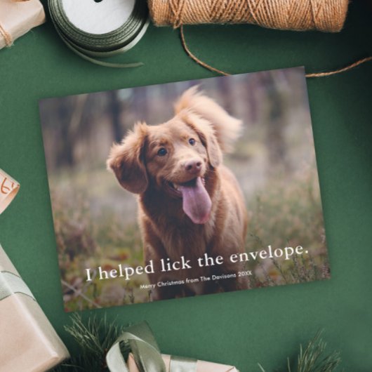 Carte de Noël drôle pour animaux de compagnie avec