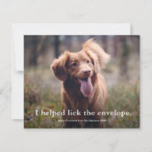 Carte de Noël drôle pour animaux de compagnie avec (Devant)