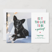 Carte de Noël drôle pour animaux de compagnie pour (Devant)