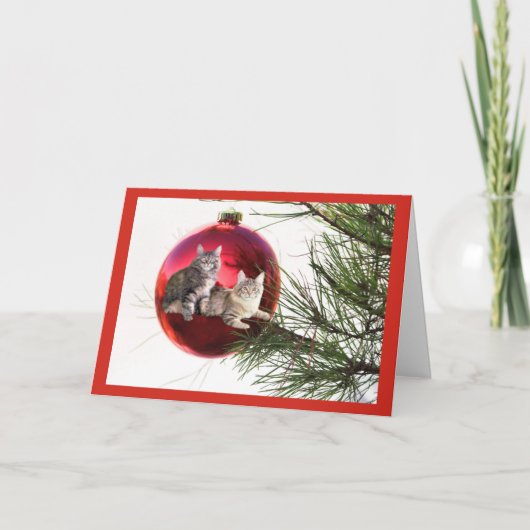 Carte de Noël du chat (Devant)