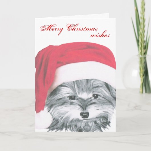 Carte de Noël du chien Yorkie (Devant)