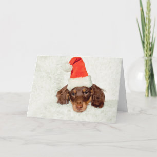 Carte de Noël du chiot de Dachshund
