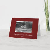 Carte de Noël du cygne gris (Dos)