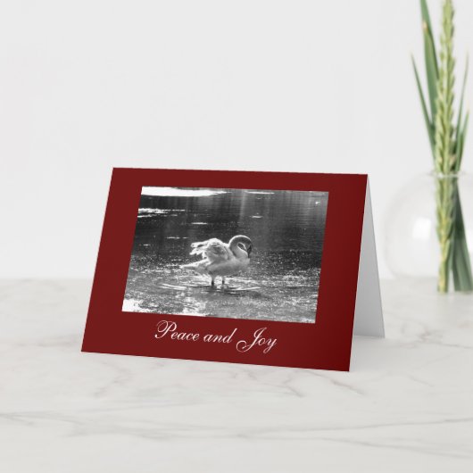 Carte de Noël du cygne gris (Devant)