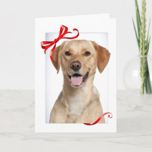 Carte de Noël du laboratoire jaune