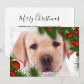 Carte de Noël du Laboratoire Jaune - Chien adorabl (Devant / Derrière)