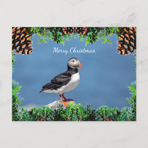 Carte de Noël du Puffin de l'Atlantique