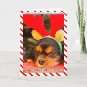Carte de Noël du roi Charles Spaniel rennes ennuyé