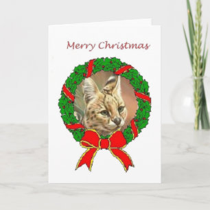 Carte de Noël du Serval Africain