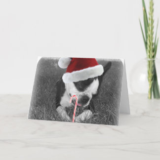 Carte de noël du sucre de canne de Boston