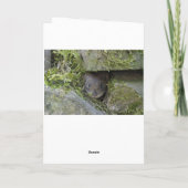 Carte de Noël écureuil dans la neige (Dos)