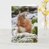 Carte de Noël écureuil dans la neige (Fleur jaune)