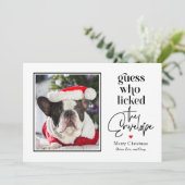 Carte de Noël EDITABLE COULEUR pour animaux utiles (Debout devant)