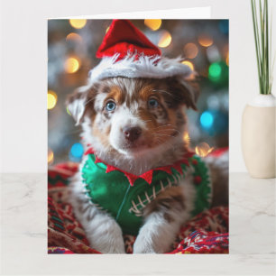 Carte de Noël Elf Chien de bétail australien