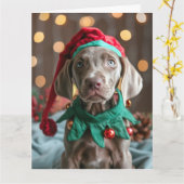 Carte de Noël Elf Puppy Weimaraner (Fleur jaune)