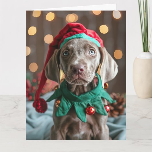 Carte de Noël Elf Puppy Weimaraner (Devant)
