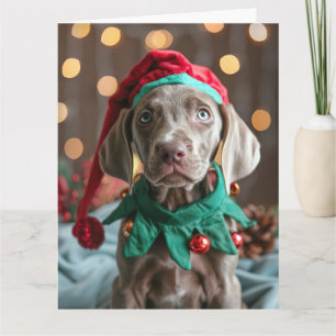 Carte de Noël Elf Puppy Weimaraner
