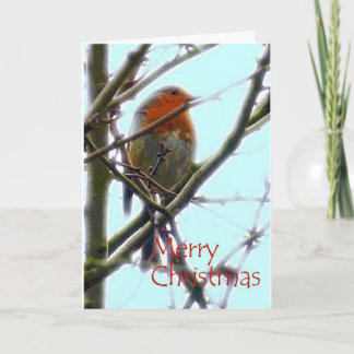 carte de Noël en graphisme Robin