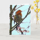 carte de Noël en graphisme Robin (Fleur jaune)