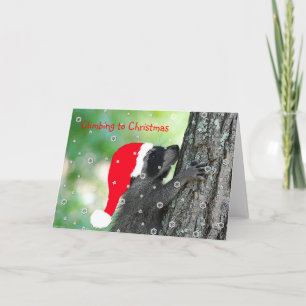 Carte de Noël Escalade Raccoon