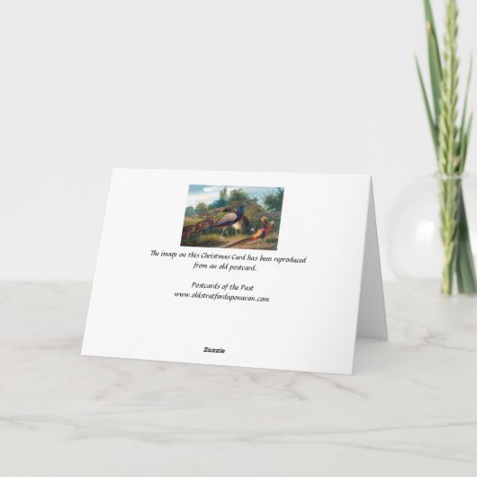 Carte de Noël - faisans (Dos)