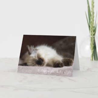 Carte de Noël faisante la sieste