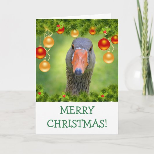 Carte de Noël Festive Goose (Devant)