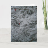 Carte de Noël "Fêteusement gonflée" (Devant)