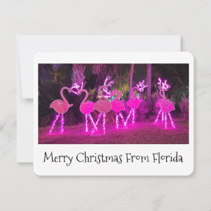 Carte de Noël Flamingo Floride