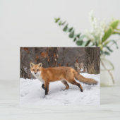 Carte de Noël Fox sur neige (Debout devant)