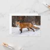 Carte de Noël Fox sur neige (Devant/Arrière en situation)