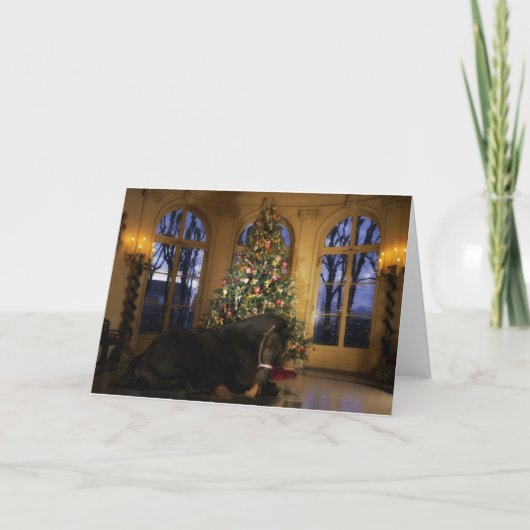 Carte de Noël frisonne de jument (Devant)