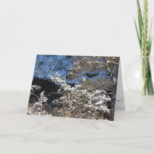 Carte de Noël "Frosty Pines"