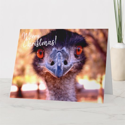Carte de Noël géante australienne EMU (Devant)
