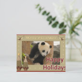 Carte de Noël géante de panda d'ours panda et de (Debout devant)