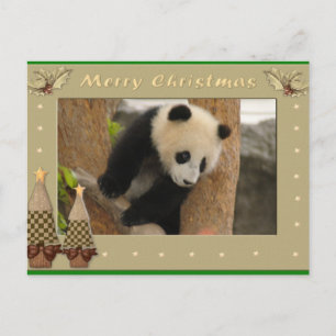 Carte de Noël Giant Panda Bear & Baby Panda