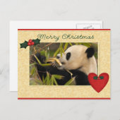 Carte de Noël Giant Panda Bear & Baby Panda (Devant / Derrière)