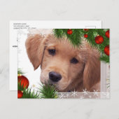 Carte de Noël Golden Retriever - Chien mignon (Devant / Derrière)