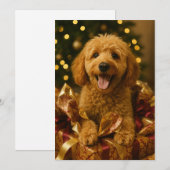 Carte de Noël Goldendoodle (Devant / Derrière)