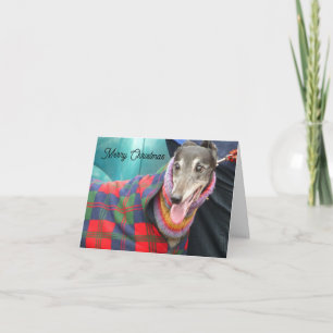 Carte de Noël Greyhound avec une petite veste