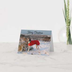 Carte de Noël Greyhound - Bleu avec veste rouge