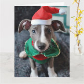Carte de Noël Greyhound Elf Puppy (Fleur jaune)
