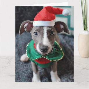 Carte de Noël Greyhound Elf Puppy