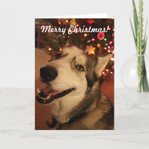 Carte de Noël heureuse de costaud sibérien