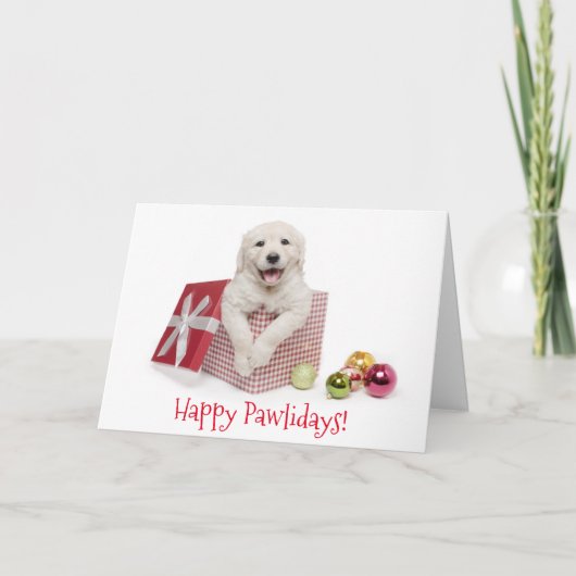 Carte de Noël heureuse de Pawlidays (Devant)