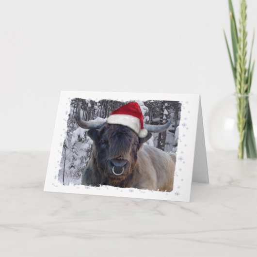 Carte de Noël Highland Cattle (Devant)