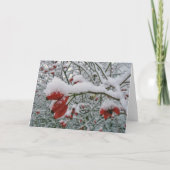 Carte de Noël hippie (Dos)