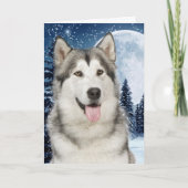 Carte de Noël Husky (Devant)